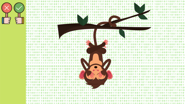 Developers are more than just code monkeys